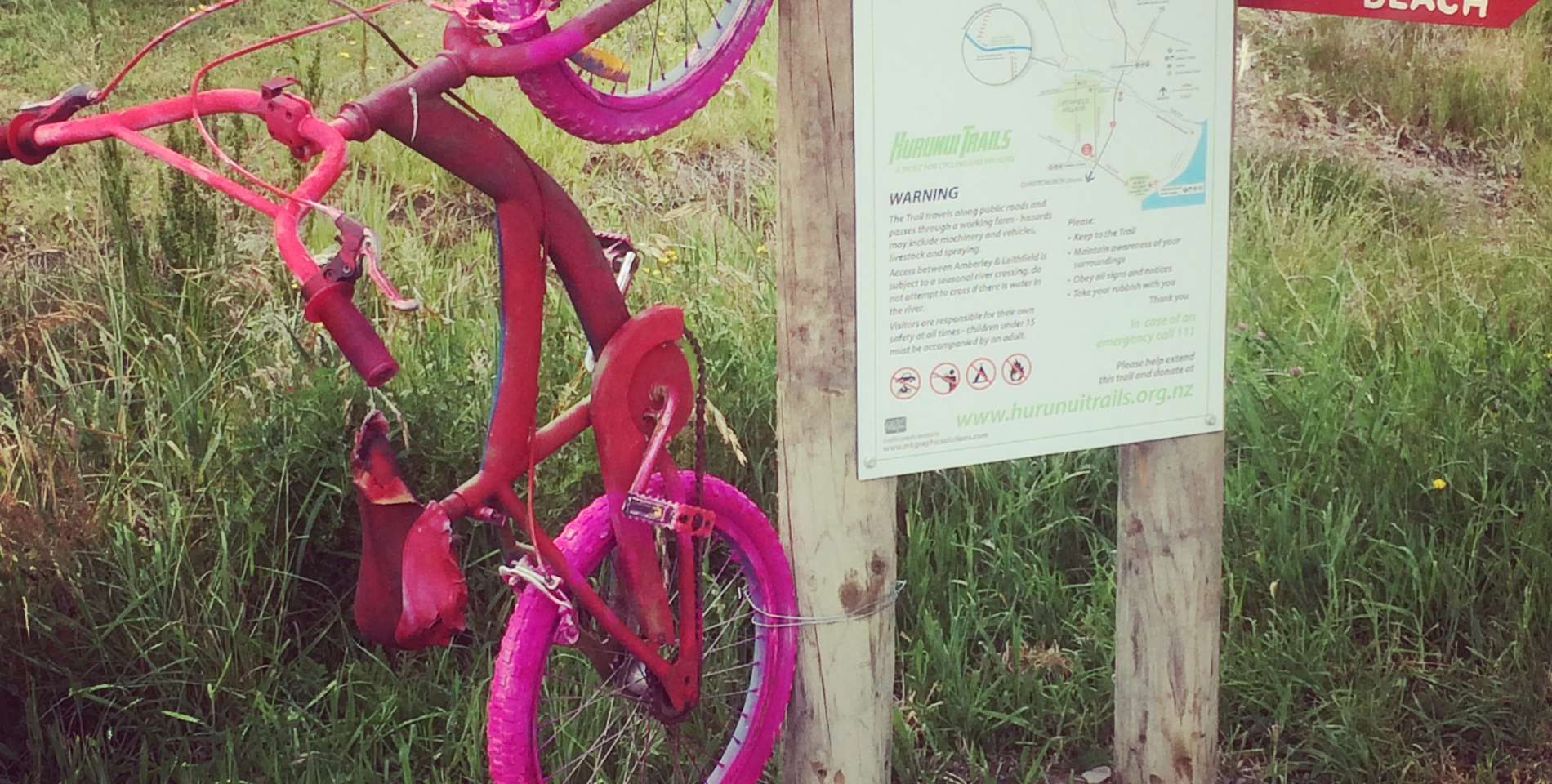 pink cycle trail